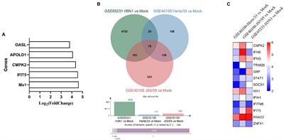 A Role for the Chicken Interferon-Stimulated Gene CMPK2 in the Host Response Against Virus Infection